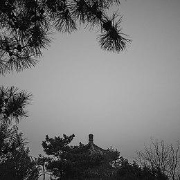 肉鸽游戏《Metallic Child》联动《天穗之咲稻姬》DLC正式发售